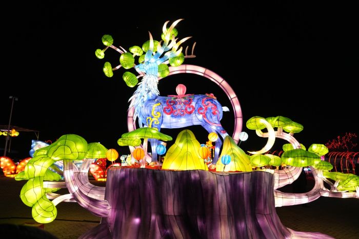 1737555876067097119.jpg 1737555876067097119.jpg